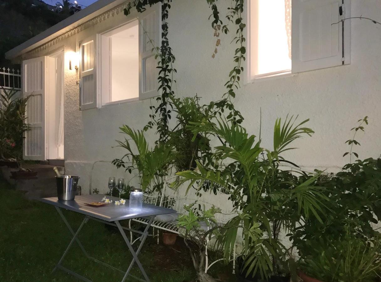 Studio Charmant Au Coeur De Boucan Canot 30 M² Avec Jardin Prive Saint-Paul Eksteriør billede